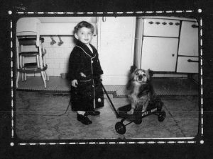 Child's Grief after Pet Loss